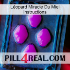 Léopard Miracle Du Miel Instructions 04